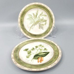 American Atelier Bouquet Garni Salad Plates Setof2